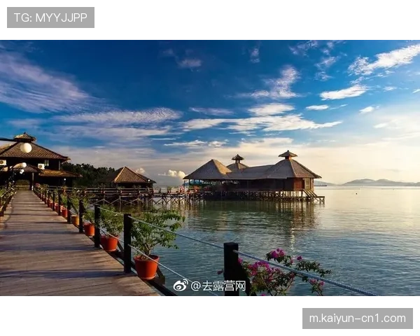 衣袖广告行业分布多元化 金融与旅游板块占据主导地位